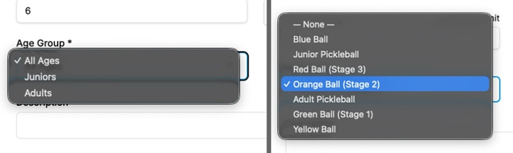 Screenshot comparing legacy age group selector (All Ages, Juniors, Adults) with custom age group dropdown (ball-colour stages and sport-specific labels)
