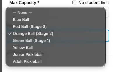 Lesson form custom age group dropdown with ball-colour stages and sport-specific labels