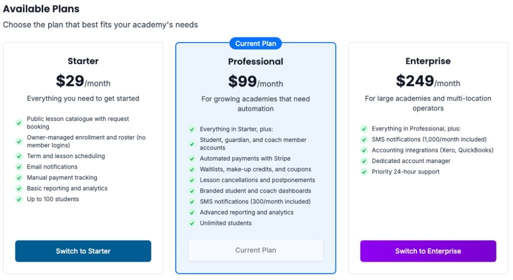 Available plans showing Professional and Enterprise tiers with automated Stripe payments